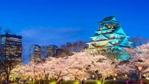 S7 Airlines Osaka Office in Japan